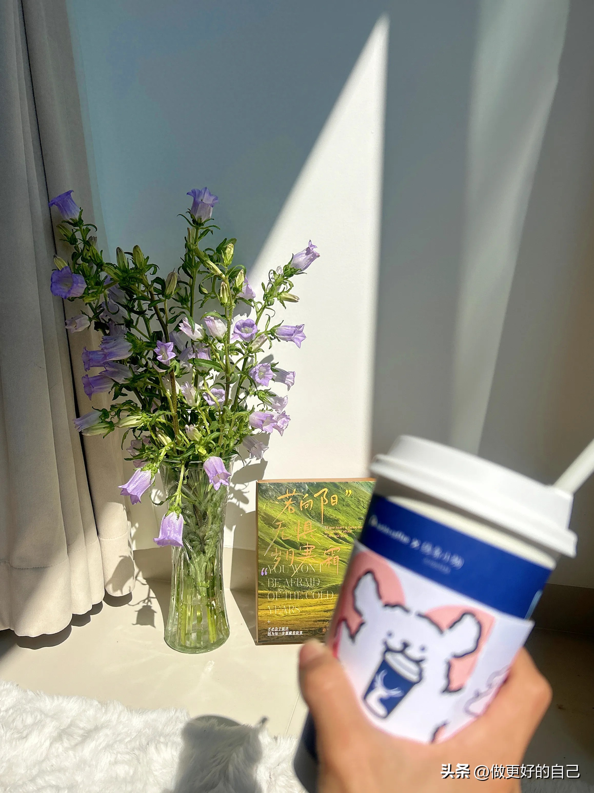 女明星晚年孤独_35岁后生活选择_中年女性晚年幸福